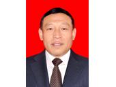 副秘书长张亚平